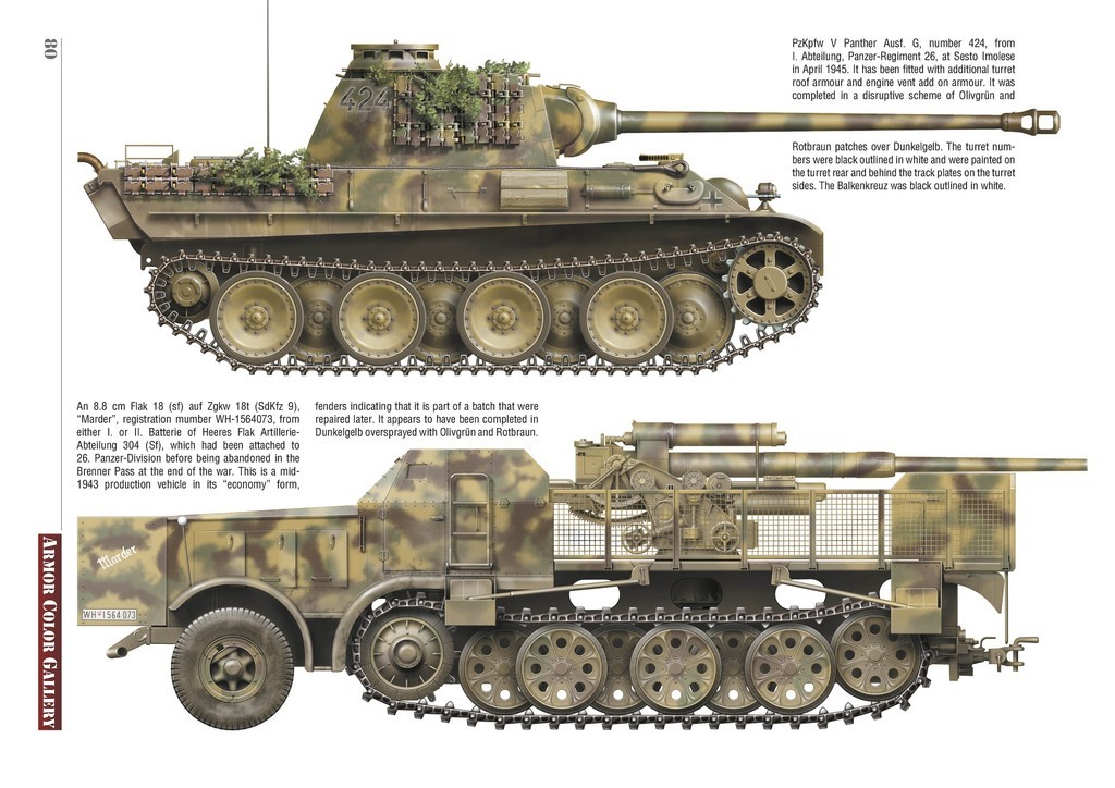 ACG 17 kolorowe2.jpg