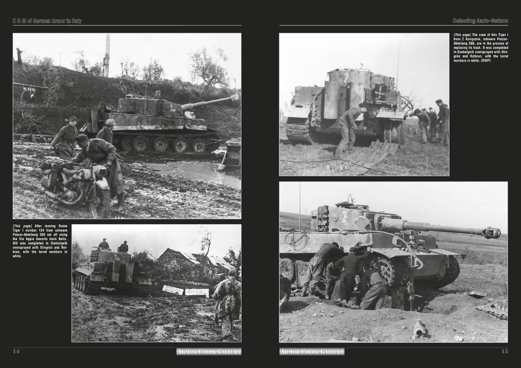 ACG 17 str 14-15.jpg