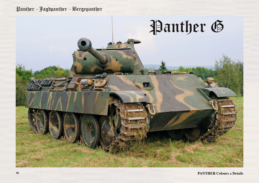 Panther 02.jpg