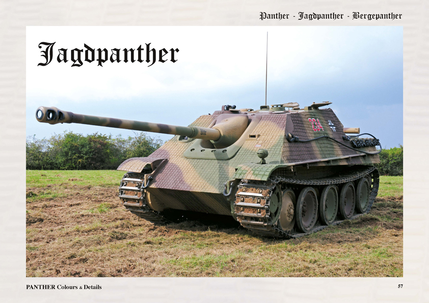 Panther 03.jpg