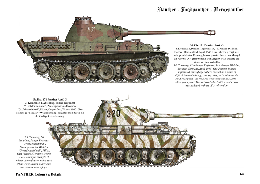 Panther 05.jpg